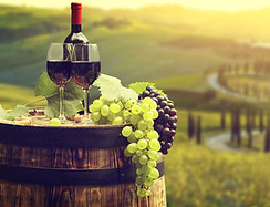 Billions Luxury Portal_Tuscany Wine tours_Into the Vineyard3.jpg